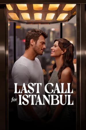 Last Call for Istanbul 2023 Hindi Dual Audio HDRip 720p – 480p