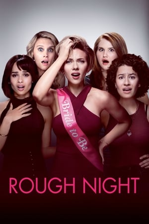 Rough Night (2017) Hindi Dual Audio 720p BluRay [800MB]