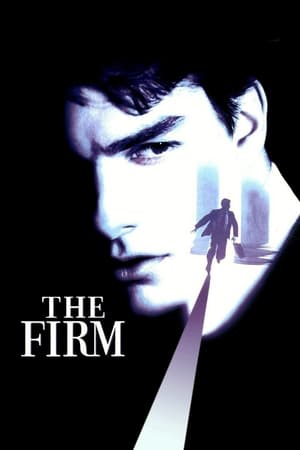 The Firm (1993) Hindi Dual Audio 480p BluRay 450MB