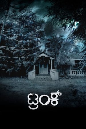 Trunk (2018) (Hindi – Kannada) Dual Audio 480p UnCut HDRip 450MB